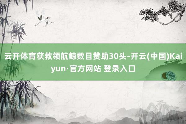 云开体育获救领航鲸数目赞助30头-开云(中国)Kaiyun·官方网站 登录入口