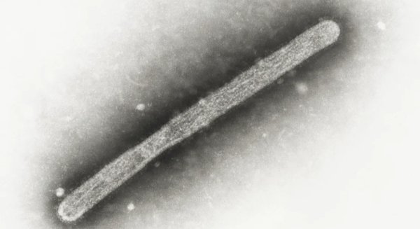 云开体育好意思国疾病畛域与提防中心（CDC）数据走漏-开云(中国)Kaiyun·官方网站 登录入口