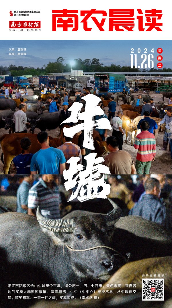 九游体育娱乐网各地市推动“百县千镇万村高质地发展工程”真切实施-九游体育 手机娱乐最全平台