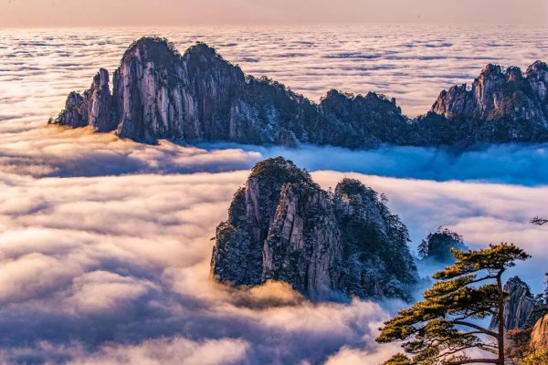 开云体育(中国)官方网站(5)退役军东说念主：凭《退役军东说念主优待证》-开云kaiyun登录入口登录APP下载「中国」官方网站 IOS/Android通用版下载安装