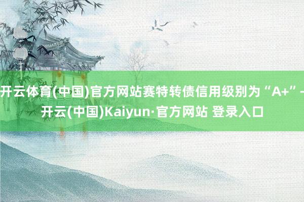 开云体育(中国)官方网站赛特转债信用级别为“A+”-开云(中国)Kaiyun·官方网站 登录入口