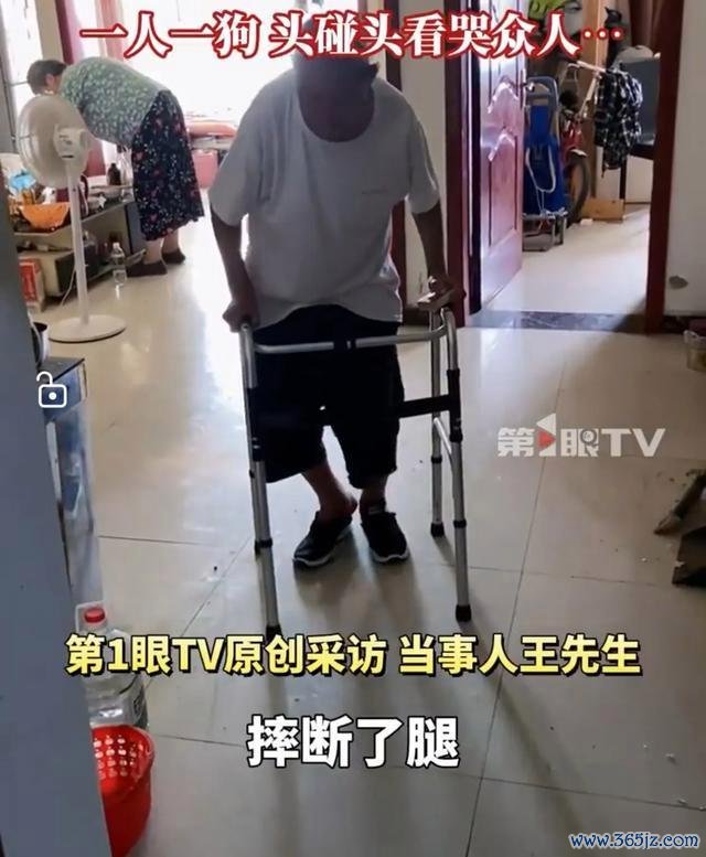 老东谈主摔断腿后找邻居家狗狗玩 温馨一幕感动世东谈主