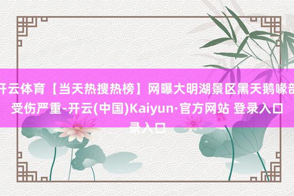 开云体育【当天热搜热榜】网曝大明湖景区黑天鹅喙部受伤严重-开云(中国)Kaiyun·官方网站 登录入口