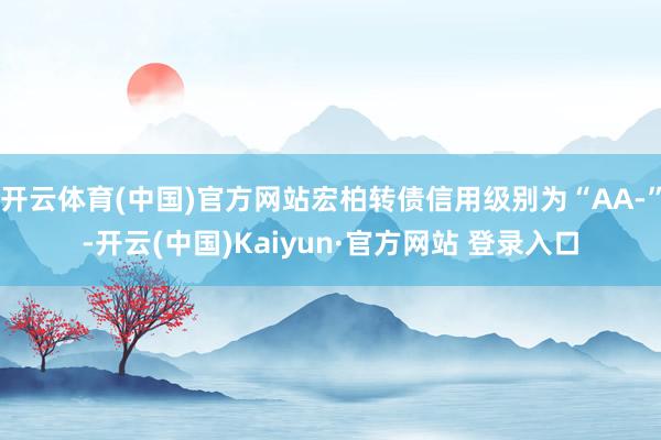 开云体育(中国)官方网站宏柏转债信用级别为“AA-”-开云(中国)Kaiyun·官方网站 登录入口